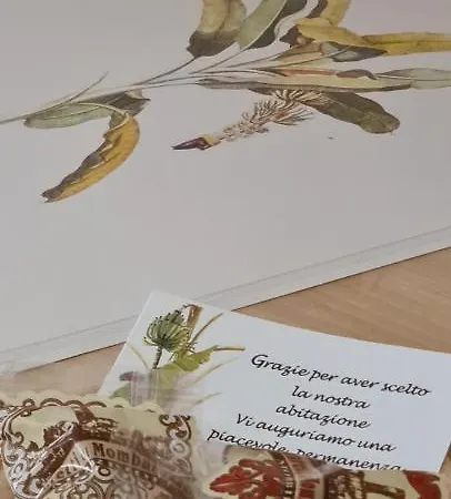 Musa Paradisiaca トリノ