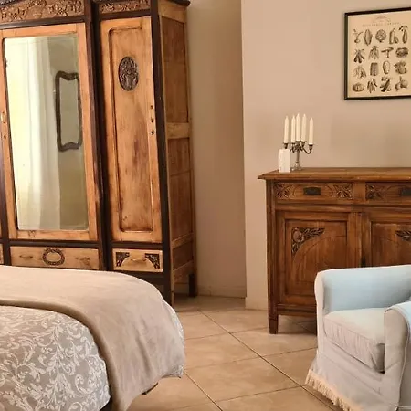 Musa Paradisiaca * Turim