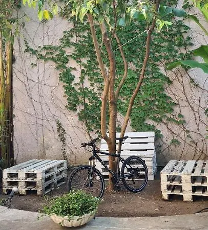 Musa Paradisiaca * 都灵