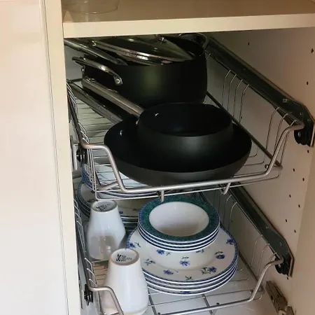 Musa Paradisiaca * 都灵