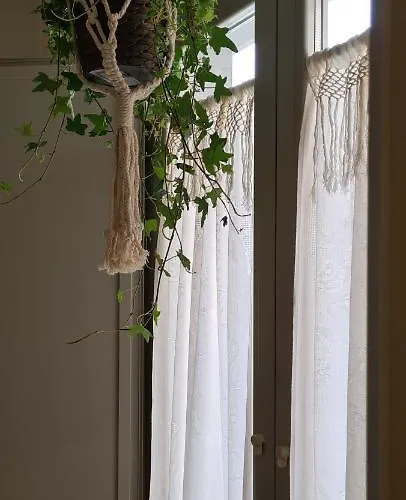 Musa Paradisiaca * トリノ