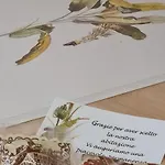 Musa Paradisiaca Turim