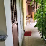 Musa Paradisiaca Apartamento