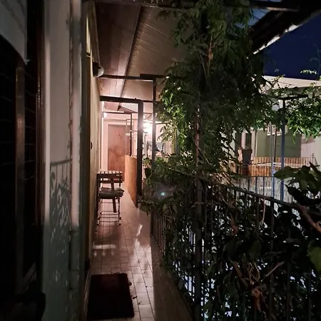 Musa Paradisiaca アパート *