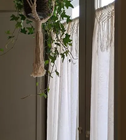 Musa Paradisiaca * トリノ