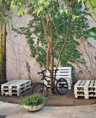 Musa Paradisiaca * Torino